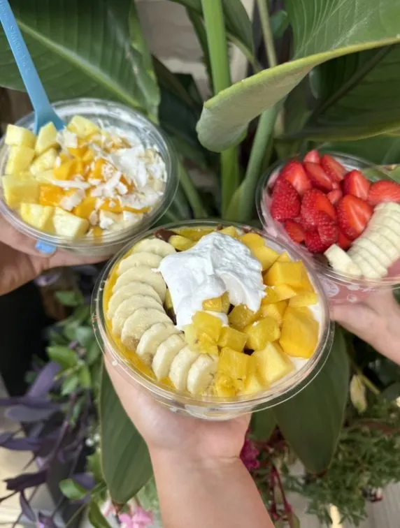 Three fruit bowls held up against tropical leaves